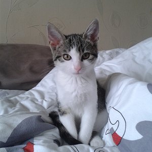 Endlich in die Kamera geschaut :)