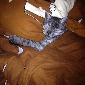 Wie ein richtiger Junge ;)