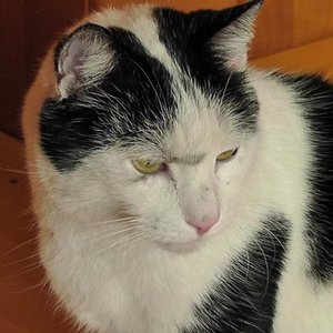 Max war im Garten...