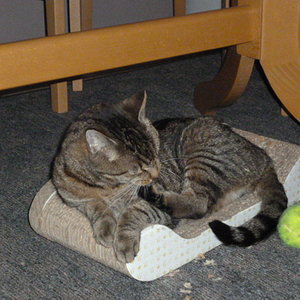 Da liegt ein Ball - na und