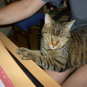 Was schreibe ich nu?