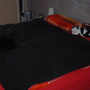 Max ist da... Aber wo ist der DJ?