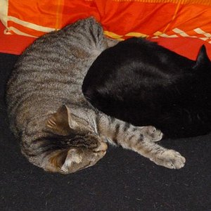 DJ mit seinem Bruder Moppel