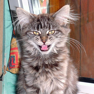 288173 262559147088241 2608588 o