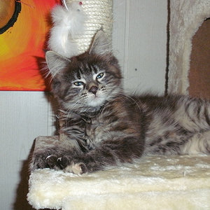 4ter Tag im neuen Zuhause!