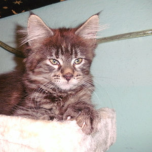 4ter Tag im neuen Zuhause!