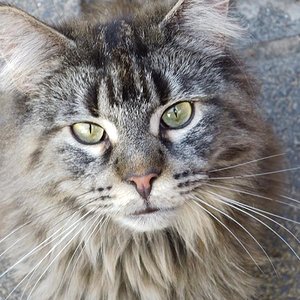 Mein zahnloses Monster! :-)