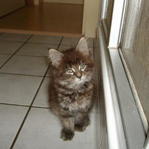 Erstes Foto vor dem Kauf!