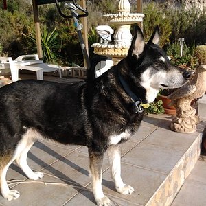 auf der Terrasse 2014 03 09 17.40.04f