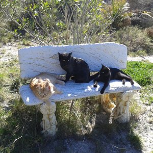 Erik, Eddi, Edda -20150306 122636