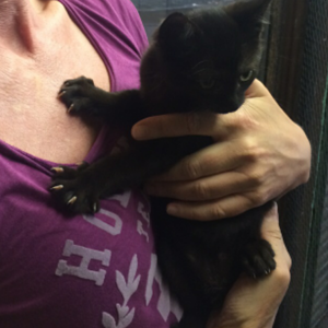 Unsere erste Begegnung im Tierheim....der Rasenmäher Baghira sprang an...