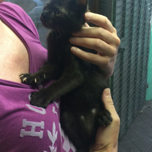 Dieser Blick  ließ mich dahinschmelzen...