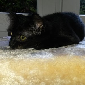 er sah etwas ...nun ja...zerrupft aus