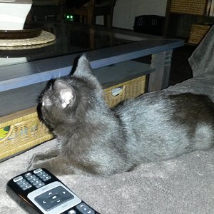 so groß wie die Fernbedienung des Fernsehers...