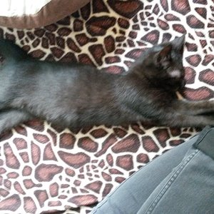 He, lass deine Beine da !