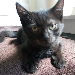 aber mein Plüschi-Gesicht erkennt man schon :-)