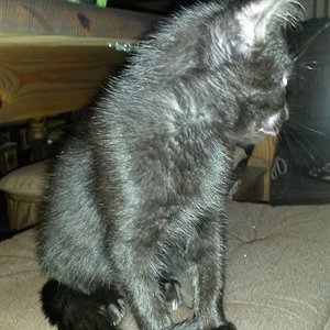 Haut und Knochen war ich....