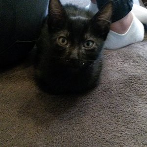 deshalb gab es am Anfang kaum Bilder,meine Dosi war zu beschäftigt, mich zum TA zu fahren und mich aufzupäppeln