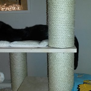 Gesund werden braucht viiiiel Schlaf