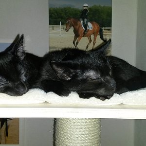 Platz ist auf der kleinsten Plattform....leider wieder krank....