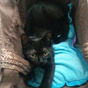 Neee, einkaufen iss heute nicht....