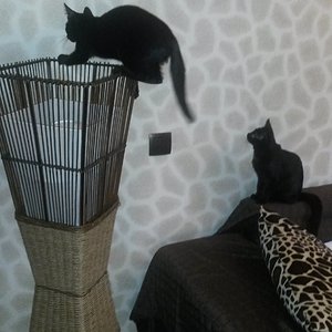 Unsinn machen ist zu zweit echt super