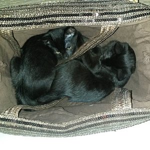 und heute kaufen wir auch nicht ein.......!