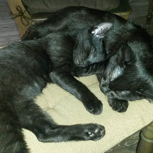 Kuscheln, bis wir vom Stuhl fallen