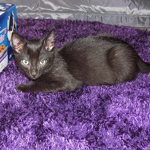 ich hab ordentlich zugenommen !