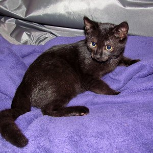 lila steht mir auch gut