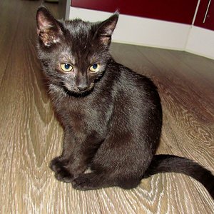 ich will lieber spielen