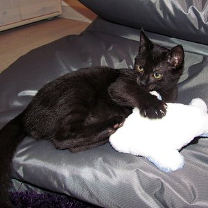 MEINS !!!!!!!!!!!!!!!!