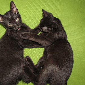 ej, dieser Kampf ist PRIVAT!