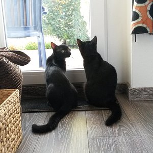 Wann dürfen wir raus? ?