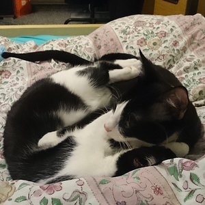 tmp 2762 DSC 88681340934555