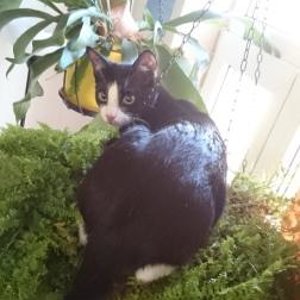 Das gibt's doch nicht!!!