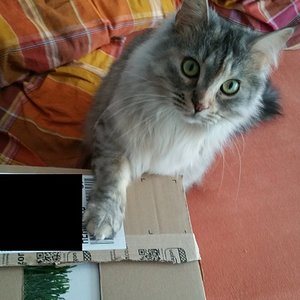 Post für MICH? Dann will ICH sie auch auspacken!