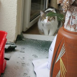 Der erste Schnee - was ist das denn ?