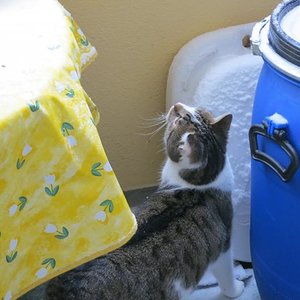 hmm alles voller Sachen