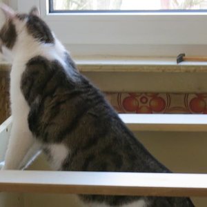 Alles macht sie weg Menno ist doch so interessant