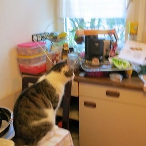 Ooooh wie schön viel zu schnuppern