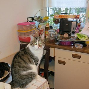 Kruschel  überall , ein Traum , nur der hat nicht lange gehalten