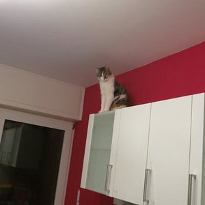 Von hier sieht man alles