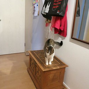 Hmm auch alles neu, riecht gut