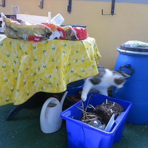 imageich hab was Neues entdeckt