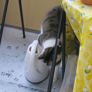 Alles beschnuppern , es gibt soviel zu entdecken