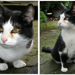 pic9302 20160211201630072