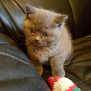 bist du dann fertig mit dem Ding?