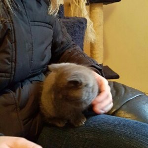 Still halten ist schwer bei neuen Gerüchen ;)