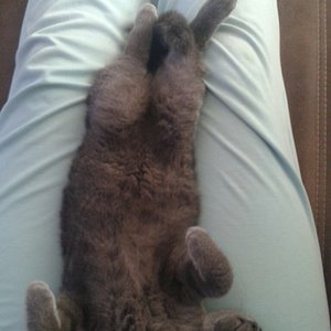 Hihi, gestern Abend *schmunzel*